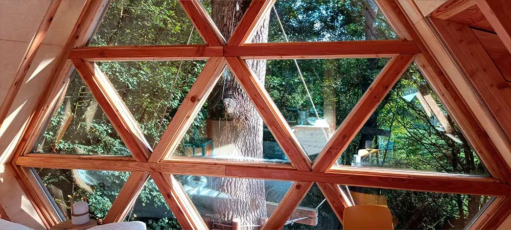 Mi verdad sobre Góbalo eres tú