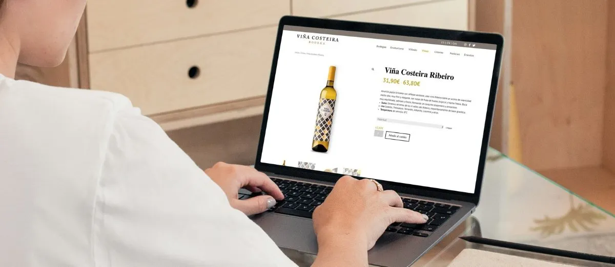 sitio web de Viña Costeira en ordenador