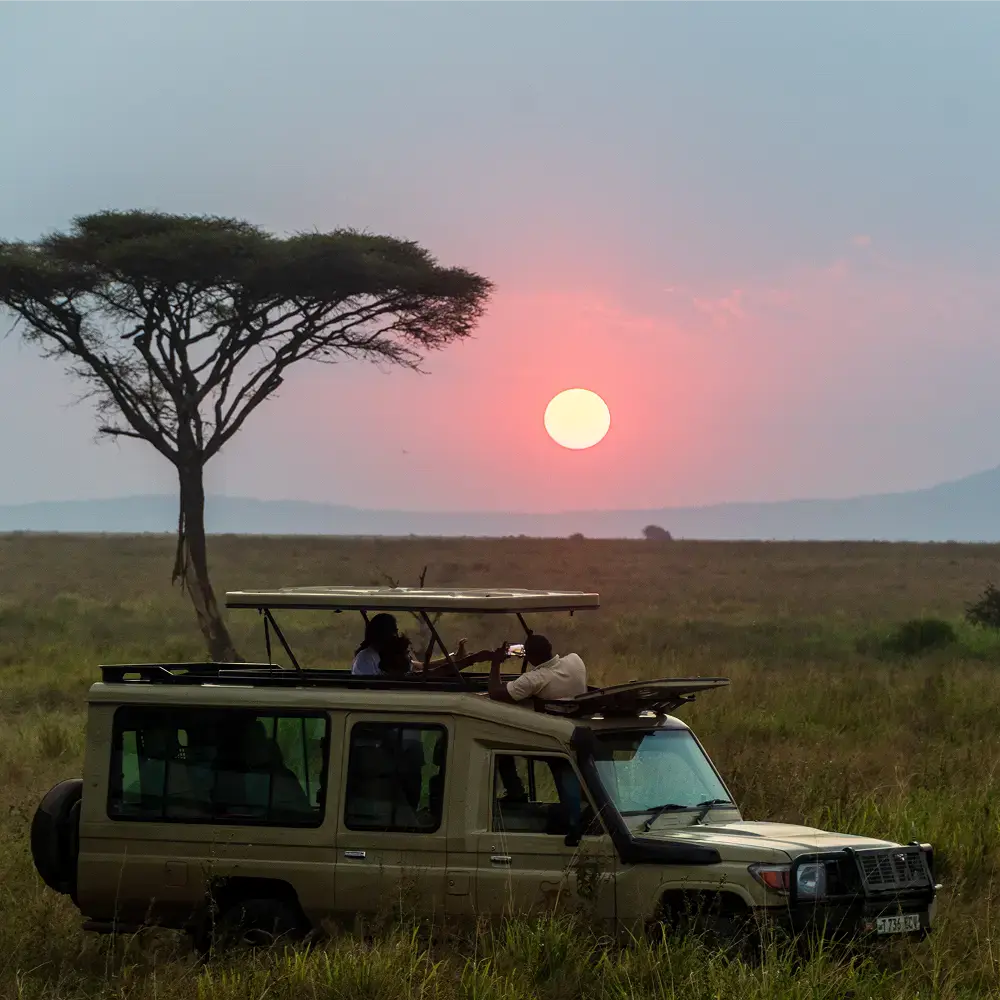 Elefant Travel - Proyecto de Gobalo