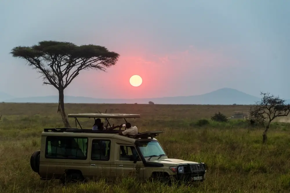 Elefant Travel - Proyecto de Gobalo