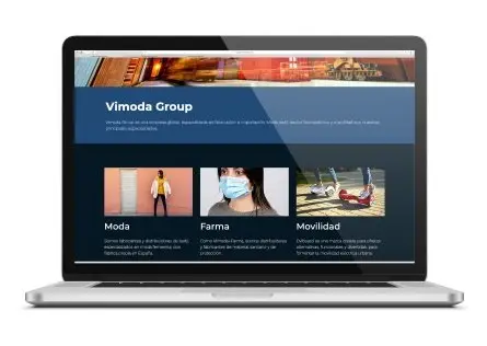 Resultados del proyecto Vimoda Group