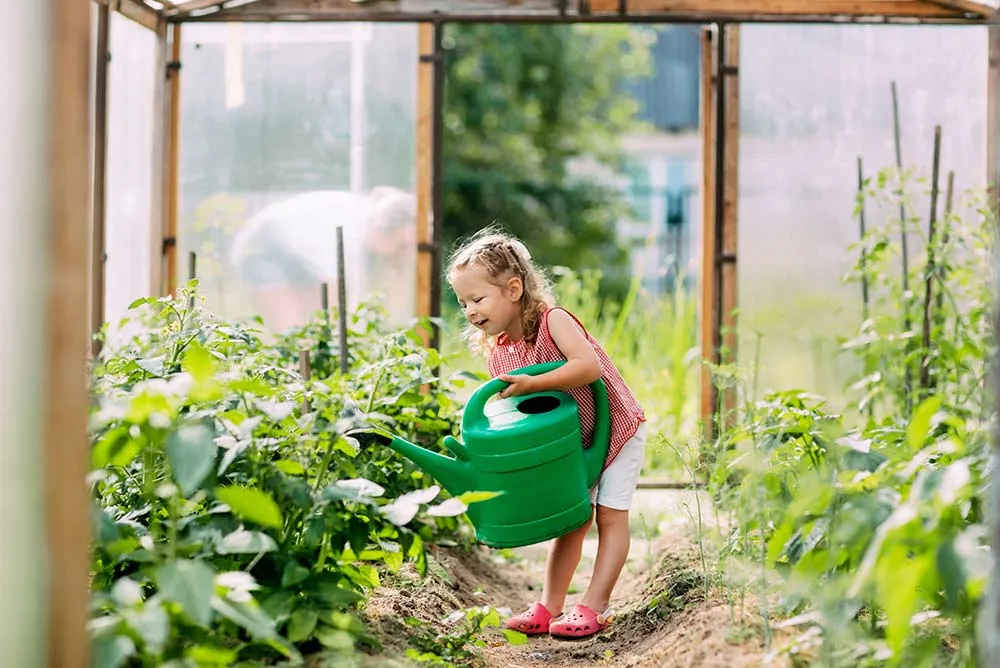 Resultados del proyecto Naturaliza