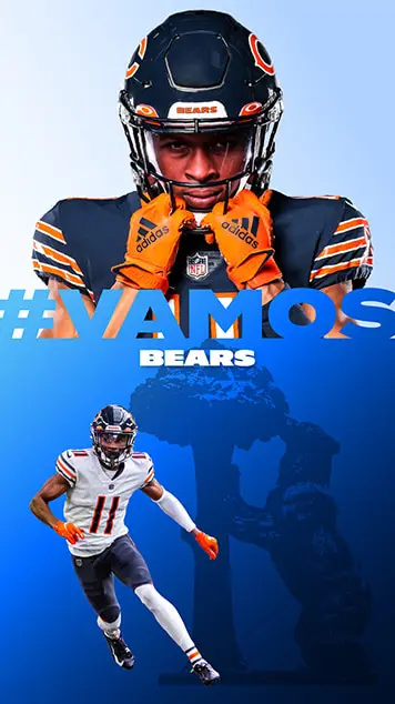 Resultados del proyecto Chicago Bears