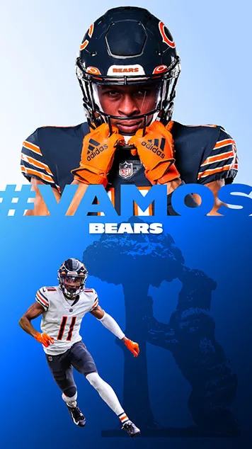 Resultados del proyecto Chicago Bears