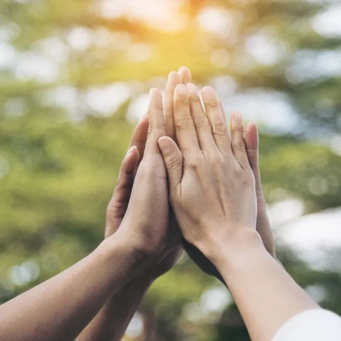 ABEA - Proyecto de Gobalo