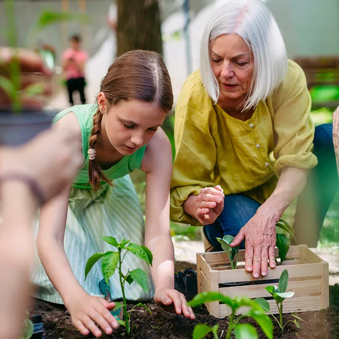 Naturaliza - Proyecto de Gobalo